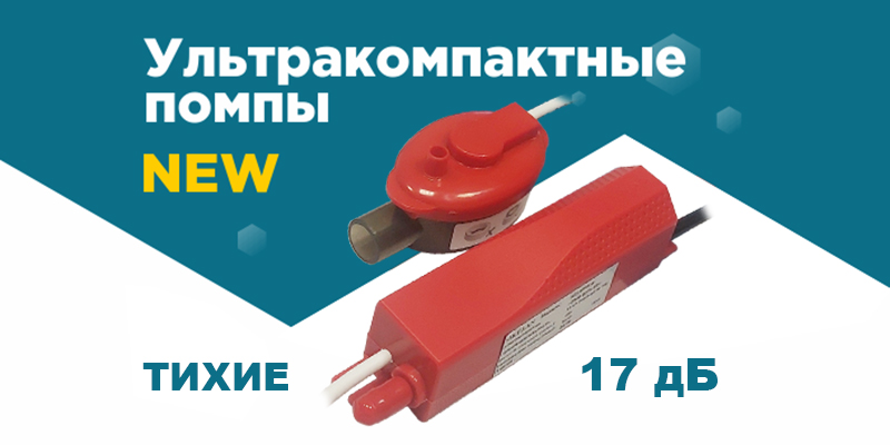 Образец бесплатно